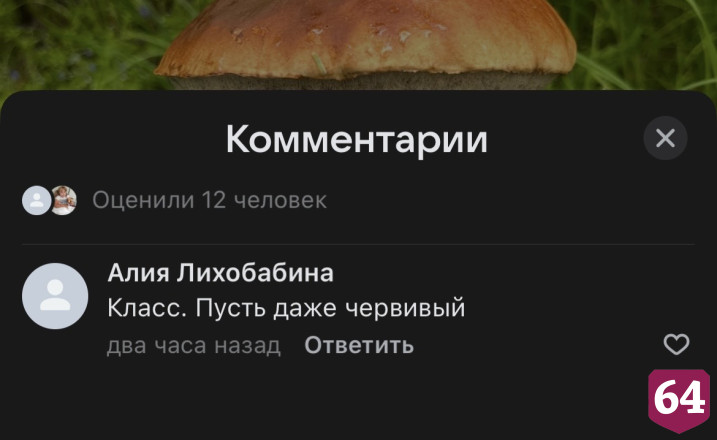 Жительница Энгельса похвасталась гигантским подосиновиком